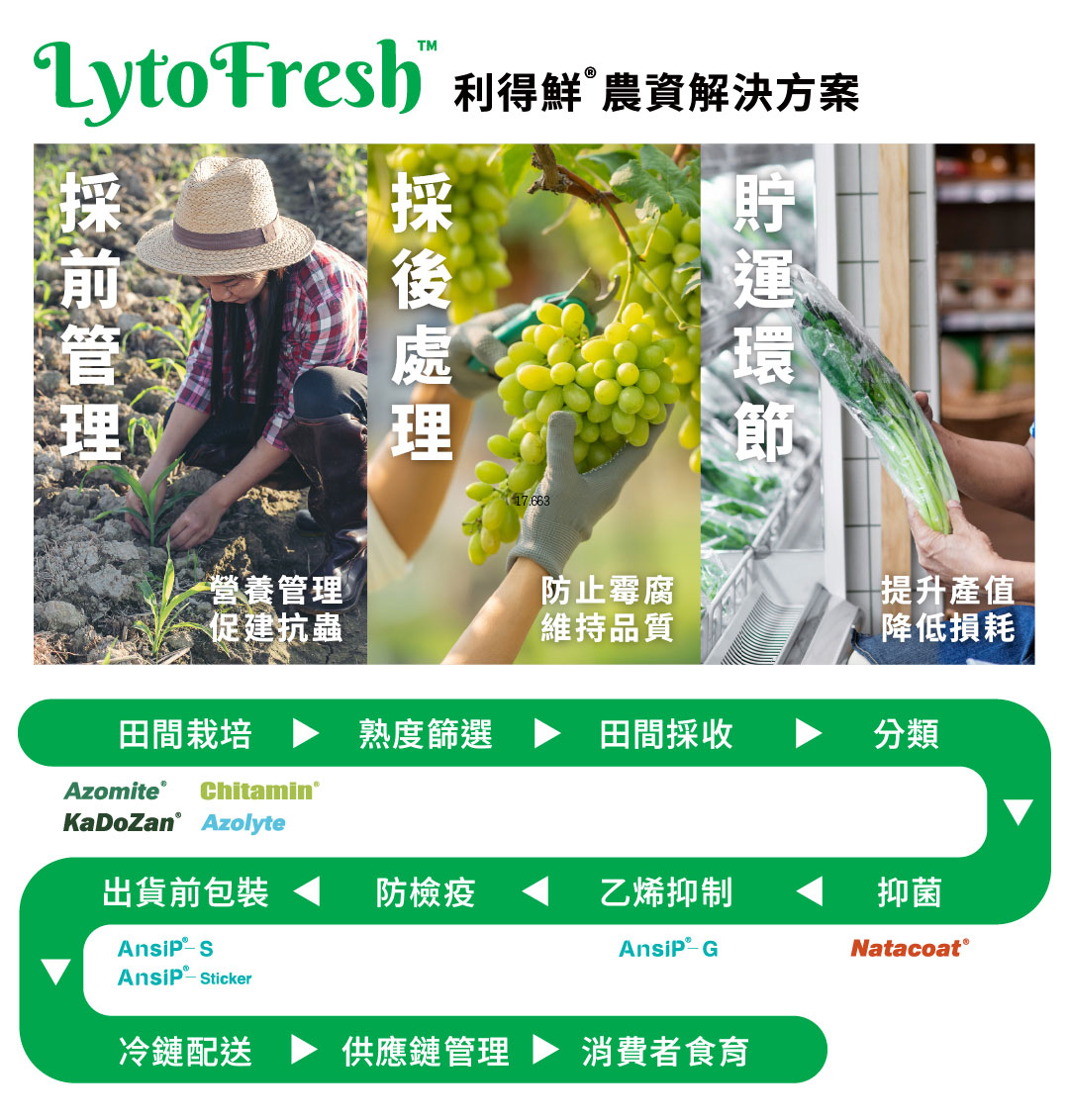 LytoFresh 系統化保鮮的產品模組與供應鏈對應關係